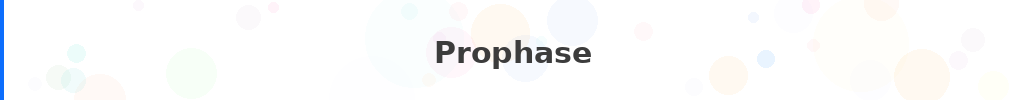 Titre : Prophase