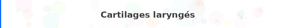 Titre : Cartilages laryngés