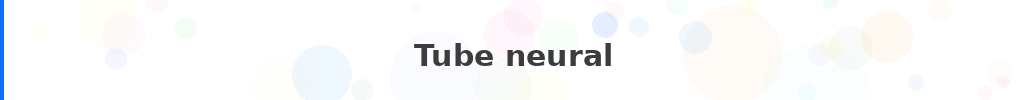 Titre : Tube neural